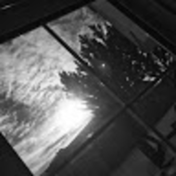 Meet your Posher, Dawn - Picture 1 of 1